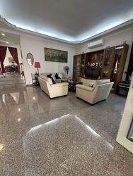 Henry Park (D10), Detached #559724371